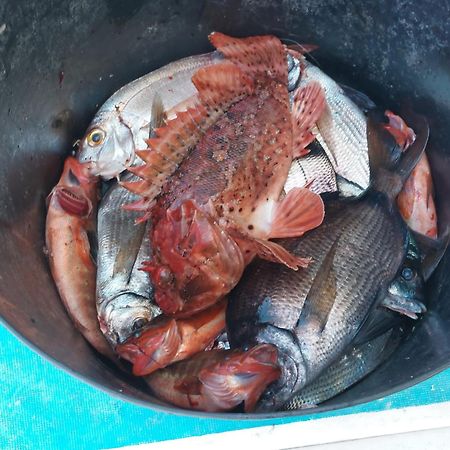 El Cambaral Del Puerto Lejlighed Luarca Eksteriør billede